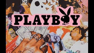 Playboi Carti Fell in luv visualizer FULL SONG [upl. by Einnij344]