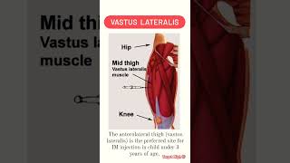 💉Intramuscular Injection Site [upl. by Notsirb146]