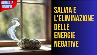 Salvia e Leliminazione delle Energie Negative [upl. by Yoj]