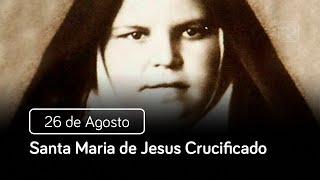 Santa Maria de Jesus Crucificado 26 de Agosto  Santo do Dia [upl. by Loy]