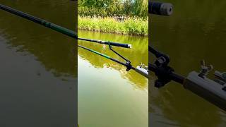 Multifunctional fishing platform accessoriefishing viralvideo viralshorts video short [upl. by Yadsendew996]