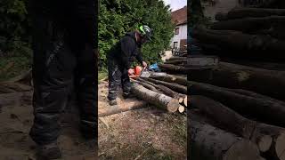 husqvarna holz holzspalten brennholz holzliebe axt sägen [upl. by Ullman]