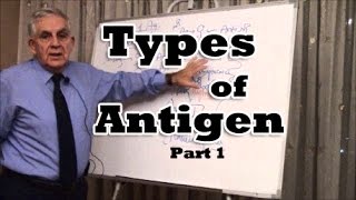 Types of Antigen  Part 1 [upl. by Schuyler]