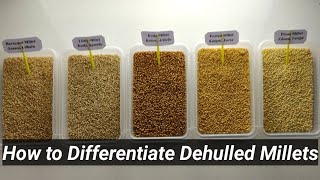 How to Differentiate Dehulled Millets [upl. by Alilak]