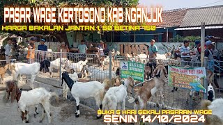 BAKALAN  BANTING HARGA BISA DI NEGO PASAR WAGE BANARAN KEC KERTOSONO KAB NGANJUK [upl. by Nealson]