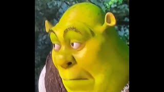 Shrek meme face scene  Funny shrek videos [upl. by Ytinav]