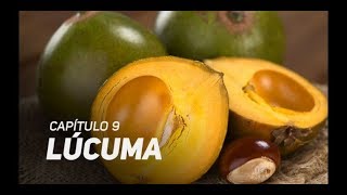 Súper alimentos Los beneficios de la Lúcuma [upl. by Yanahc]