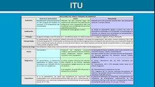 Infecciones en el Embarazo INFECCIONES DE VÍAS URINARIAS  Ginecología [upl. by Murial]