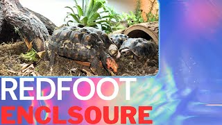 New INDOOR Redfoot Tortoise Enclosure [upl. by Sivie256]