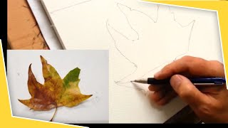 DISEGNO DEL CONTORNO  FOGLIA AUTUNNALE 13 [upl. by Ahsimik391]