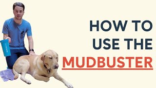 How to Use the MudBuster for a Dogs Paws [upl. by Nosae]