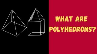 What are Polyhedrons  Solid Shapes  Geometry  Grade 8 [upl. by Ailimaj]