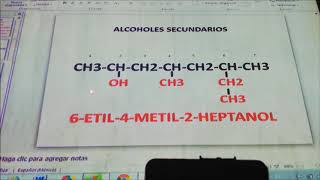 ALCOHOLES PRIMARIOSSECUNDARIOS Y TERCIARIOS [upl. by Eila525]