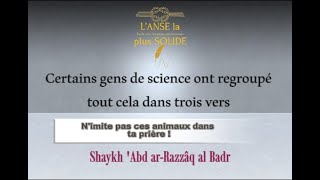 Nimite pas ces animaux dans ta prière   Shaykh Abd arRazzâq al Badr [upl. by Refinne376]