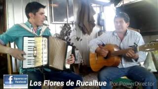 Acordeon y Guitarra amp Los Flores de Rucalhue [upl. by Akisej144]