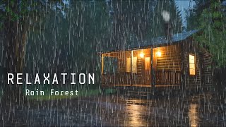 Relaxing Rain Sounds on the Roof of a Forest House That Can Calm Your Life [upl. by Nidya]