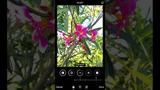 New iphone Photo Editing Hack Tutorial 3 [upl. by Magen]