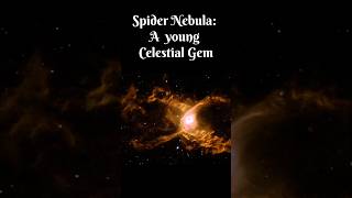 The Spider Nebula A Celestial Gem space alienlife facts [upl. by Lanti565]