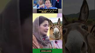 Maryam Nawaz Funny pti ptiloverfan imrankhanpti duet ptilove [upl. by Rella131]