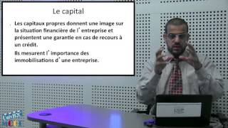 ECONOMIE ET ORGANISATION DES ENTREPRISES CH2 [upl. by Kathlene210]