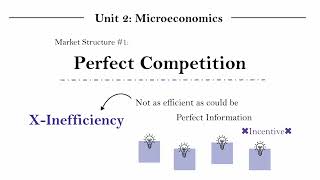 IB Econ Unit 21111  Perfect Competition Part 5 [upl. by Nauwtna]