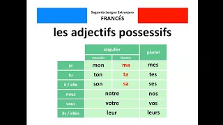 🇫🇷 Les adjectifs possessifs  🇪🇸 Los adjetivos posesivos [upl. by Lopes]