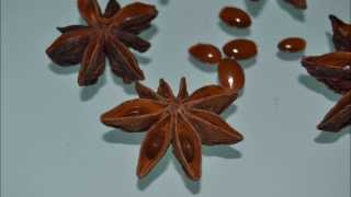 Star anise poisoning side effects [upl. by Angy]