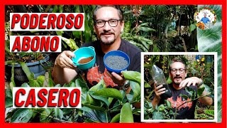 COMO HACER ABONO o FERTILIZANTE CASERO ORGANICO GRATIS para TODO TIPO DE PLANTAS  Gio de la Rosa [upl. by Charlie]