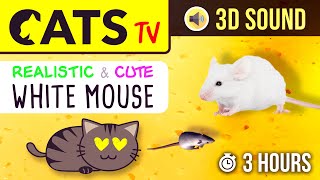 CATS TV  The BEST Mouse Game for CATS 🐭 3 HOURS Realistic running mouse on cheese 🧀 [upl. by Flossi78]