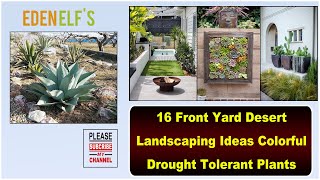 Drought Tolerant Garden Design  16 Front Yard Desert Landscaping Ideas [upl. by Yurik]