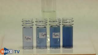 Phosphate analysis [upl. by Myrtia]