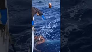 Giant squid grasping his catch fishing squidding fish octopus shark ocean [upl. by Akzseinga]