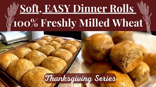 Soft EASY Dinner Rolls w100 Freshly Milled Wheat  Thanksgiving Recipes  Healthy Dinner Rolls [upl. by Wiburg]