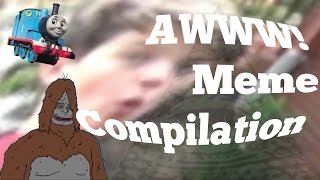 AWWW Meme Compilation [upl. by Annahpos]