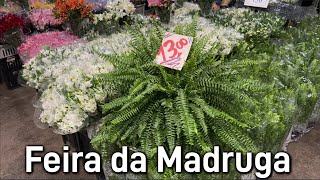 Plantas da Feira a partir R500  São Paulo [upl. by Kcirad]