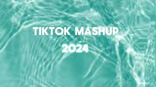 Tiktok mashup 2024 clean [upl. by Aelber]