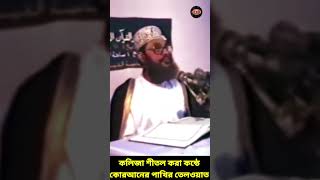 কলিজা শীতল করা কন্ঠে কোরআনের পাখির তেলওয়াত  allama delwar hussain saidi waz দেলোয়ারহোসাইনসাঈদী [upl. by Yelhak]