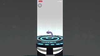 Evolve Onix To Steelix  Pokemon Go pokemon evolution pokemongo [upl. by Goff]