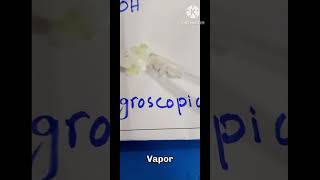 What are Hygroscopic Substances Chemistry Unseen NaOH KOH [upl. by Thanasi]