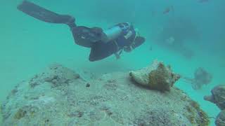 diving  Dominikanische Republik  Punta Cana  The Submarine  with Dressel Divers  20170430 [upl. by Liz]