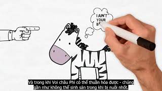 SÚNG VI TRÙNG VÀ THÉP GIẢI MÃ LỊCH SỬ TIẾN HÓA NHÂN LOẠI [upl. by Adiela]