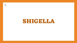 Shigella Dysenteriae Shigellosis Morphology Pathogenesis Clinical Findings Diagnosis Treatment [upl. by Edrahc172]