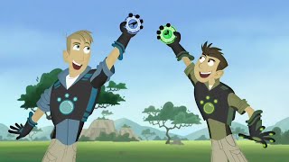 Wild Kratts GamesFlustering Challenge Livestream Read Description [upl. by Leahcimal]