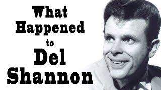 What Happened to DEL SHANNON [upl. by Rratsal452]