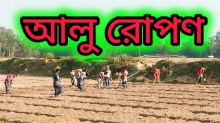 আলু রোপণ farmig জয়পুরহাট farmer আলুচাষ agriculture agrofarm [upl. by Giorgi]