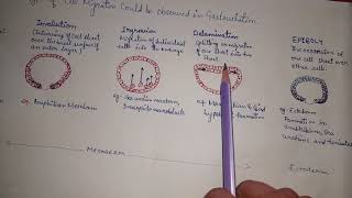 Type of cell migration during Gastrulation invaginationinvolutioningression delaminationepiboly [upl. by Malloy]