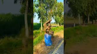 Bike Vali ki chore Kar liindia duet comedy duetting viralshort [upl. by Aynad]