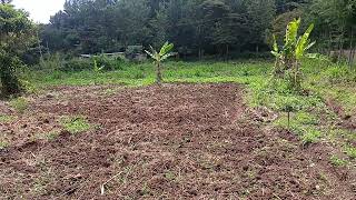 Matasia Ngong 18th Plot 35M Also available in 14 acre or 12 acre block [upl. by Aliekat]