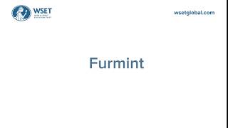 How to say it Furmint [upl. by Enitsyrhc]