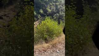 Shirttail Canyon Off road Trail [upl. by Dnob]